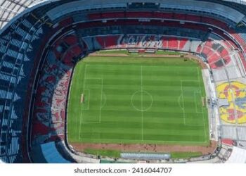 El Nuevo Congreso, Deberá  Regular la Venta de Alcohol en Estadios de Futbol: RASA